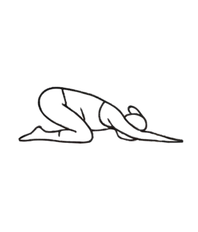jin joga